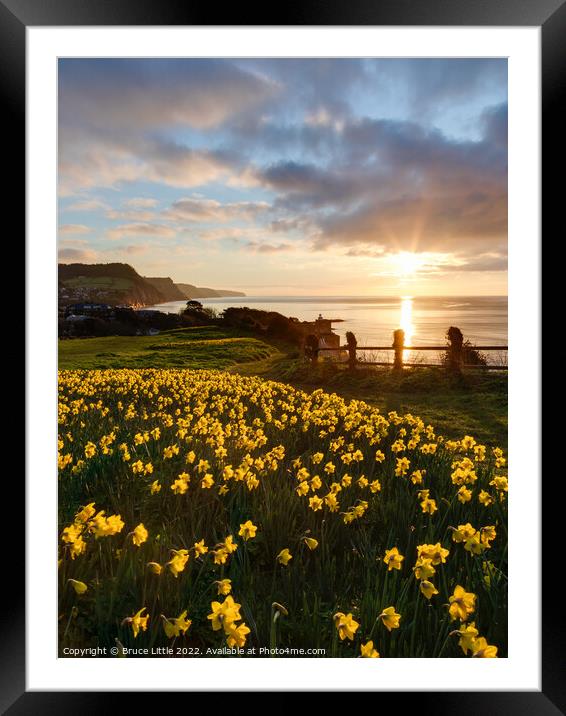 Sunrise Blooms. Framed Mounted Print by Bruce Little