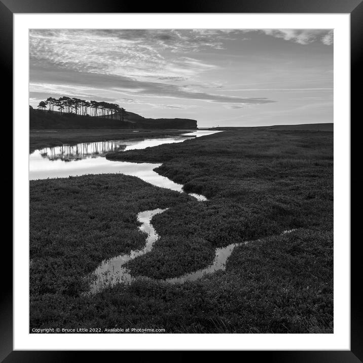 Budleigh Salterton Trees in Mono Framed Mounted Print by Bruce Little