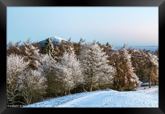 Winter Wonderland Framed Print by Bruce Little