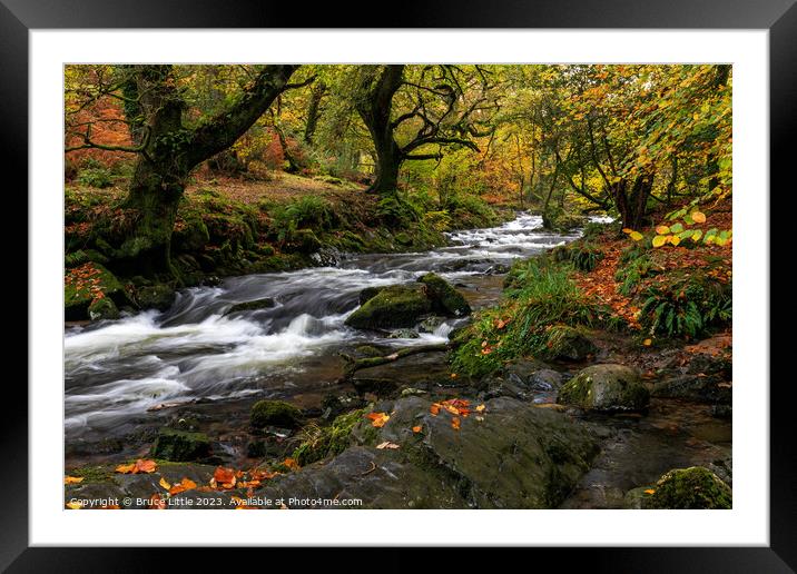 Autumnal Dartmoor River Framed Mounted Print by Bruce Little