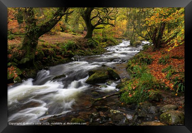 Dartmoor River in Autumn Framed Print by Bruce Little