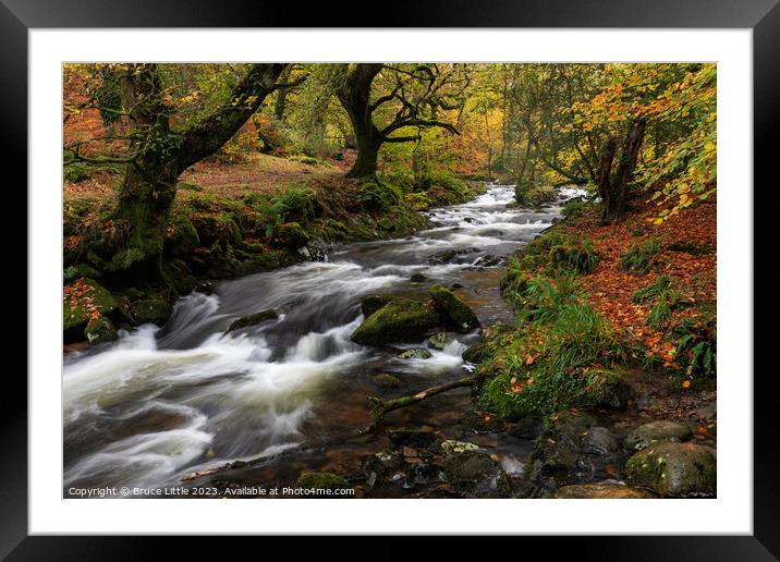 Dartmoor River in Autumn Framed Mounted Print by Bruce Little