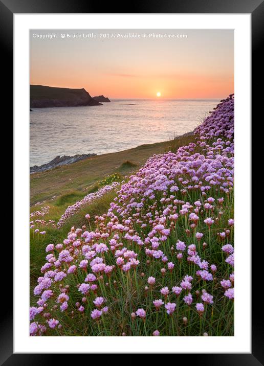 Thrift blooms in serene Cornish sunset Framed Mounted Print by Bruce Little