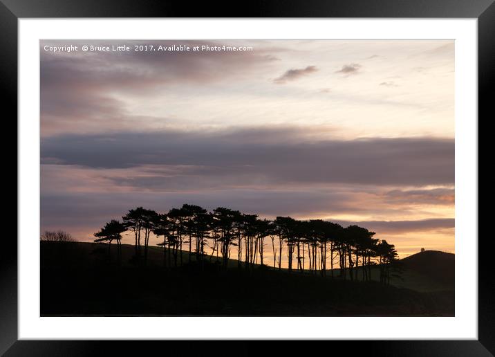 Sunrise over Coastal Trees Framed Mounted Print by Bruce Little