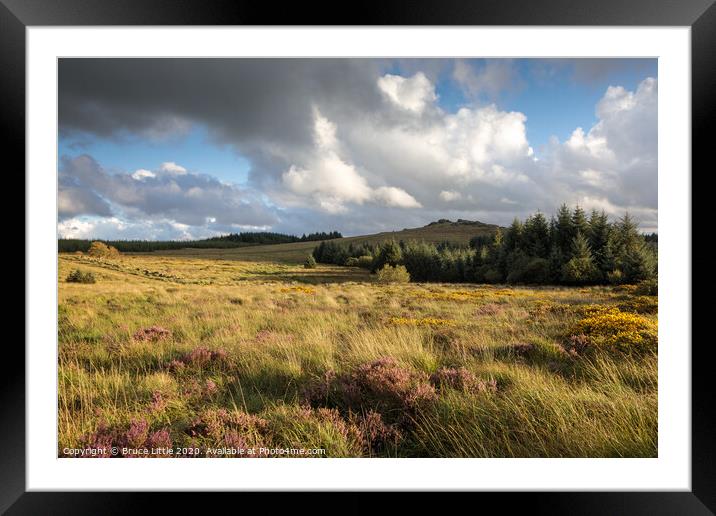 Bellever view, Dartmoor Framed Mounted Print by Bruce Little