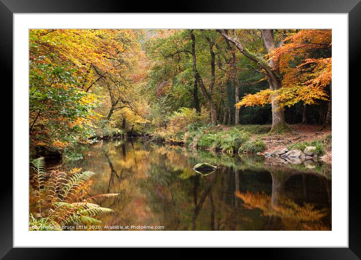 Autumnal River Teign at Fingle Bridge Framed Mounted Print by Bruce Little