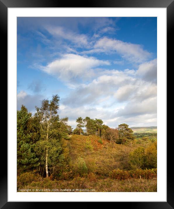East Devon common in autumn Framed Mounted Print by Bruce Little