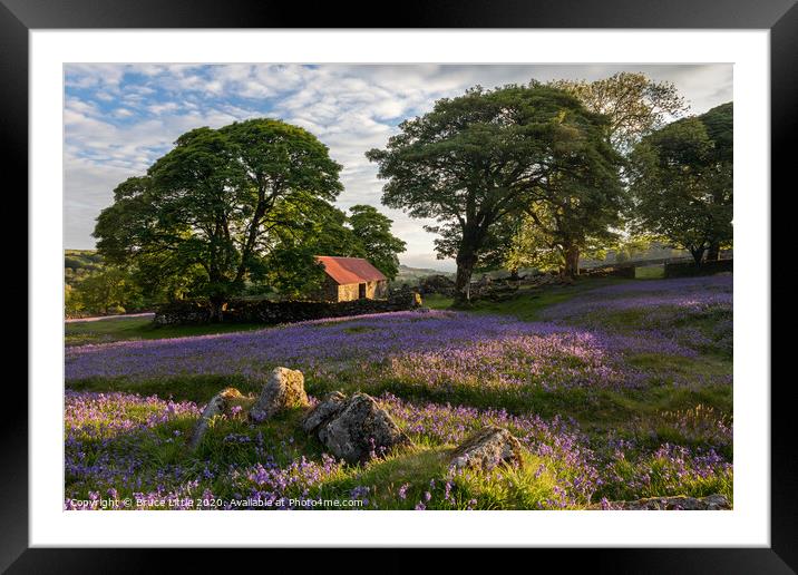 Enchanting Bluebell Carpet at Emsworthy Barn Framed Mounted Print by Bruce Little