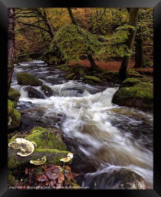 White water in Burrator woods Framed Print by Bruce Little