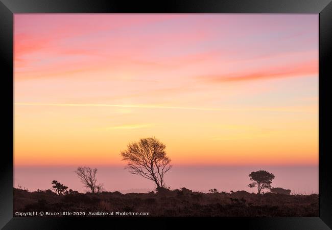 Orange and pink sunrise at Woodbury Common Framed Print by Bruce Little