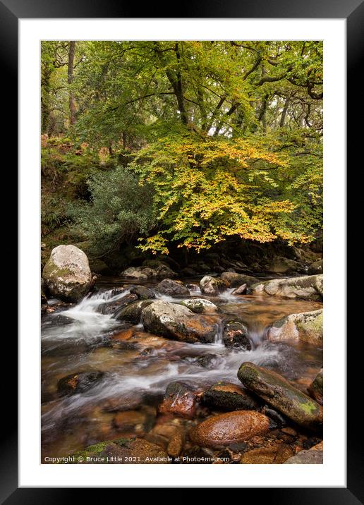 Serene Autumnal River in Dewerstone Woods Framed Mounted Print by Bruce Little
