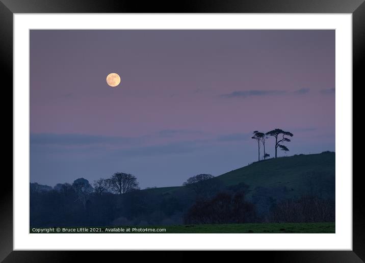 Scots Pine Moonrise Framed Mounted Print by Bruce Little