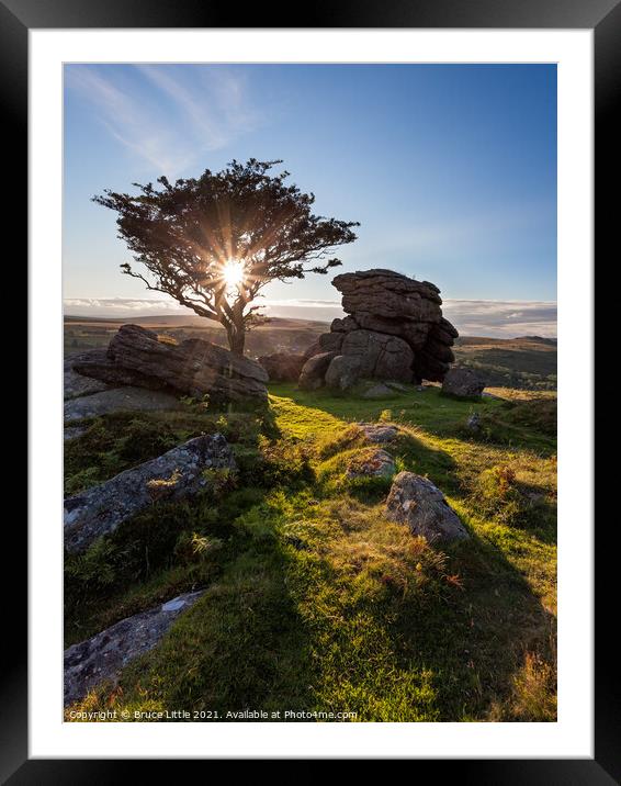 Starburst Tree Emsworthy Rocks Framed Mounted Print by Bruce Little