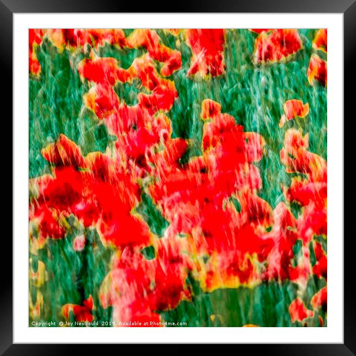 Poppies - Digital Art  Framed Mounted Print by Joy Newbould