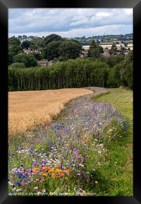 Wild Flowers surrounding a field of Barley Framed Print by Joy Newbould