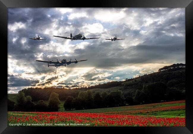 Battle of Britain memorial flight over Poppy Field Framed Print by Joy Newbould