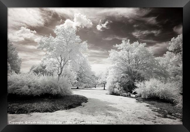 Winter in summer Framed Print by Keith Atkins