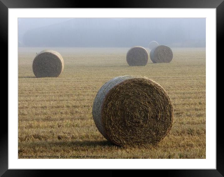Hay bales in a misty field Framed Mounted Print by Paul Trembling