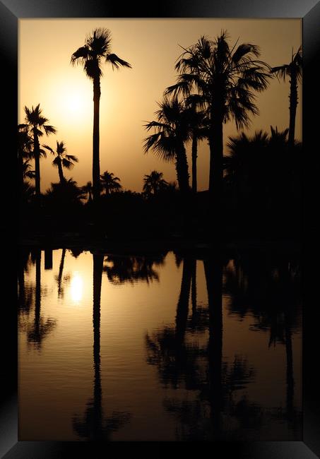 Sunset Palm Trees Framed Print by Adrian Susman