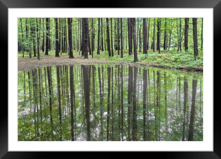 Stillness And Quiet Framed Mounted Print by Jim Hughes
