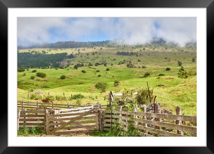Up Country Maui Framed Mounted Print by Jim Hughes