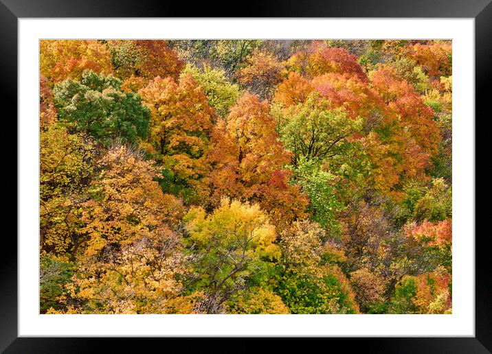 Hillside in fall Framed Mounted Print by Jim Hughes