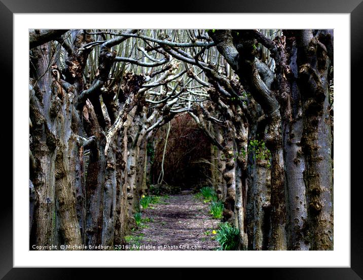 Woodland Path Framed Mounted Print by Michelle Bradbury