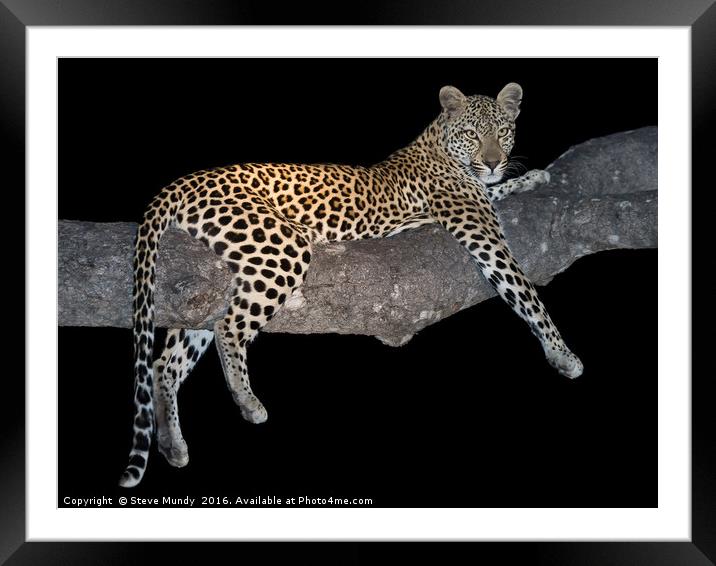 Hanging Around Framed Mounted Print by Steve Mundy