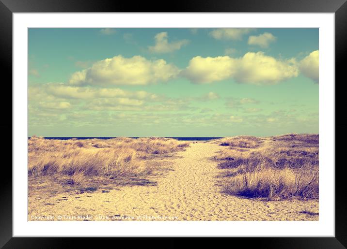 Beach grass on Baltic Sea  Framed Mounted Print by Tanja Riedel