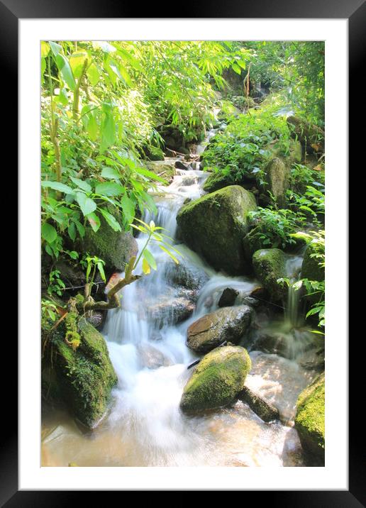 Himalayan stream Framed Mounted Print by rob solomon