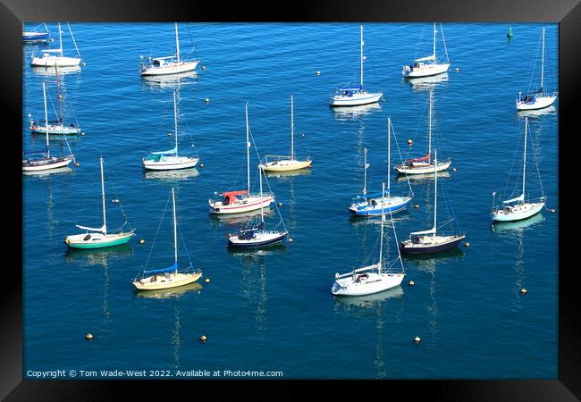 Sailing boats in Brixham Harbour  Framed Print by Tom Wade-West