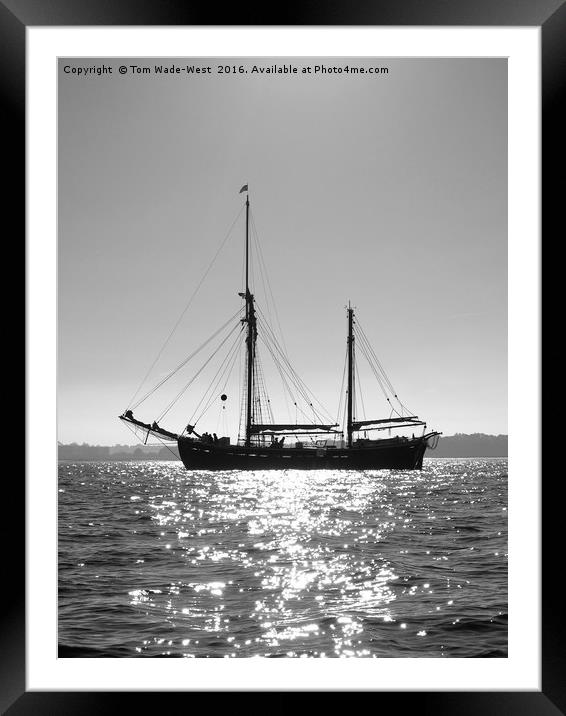 Queen Galadriel at Anchor Framed Mounted Print by Tom Wade-West