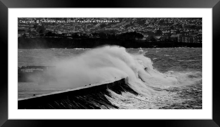 Waves crashing over Brixham Breakwater Framed Mounted Print by Tom Wade-West