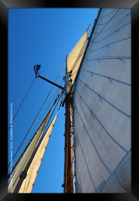Sails and Rigging of Brixham Trawler 'Leader' Framed Print by Tom Wade-West