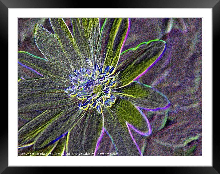 Neon Anemone Framed Mounted Print by Rhonda Surman