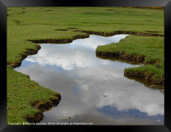 Puddle reflections Framed Print by Rhonda Surman