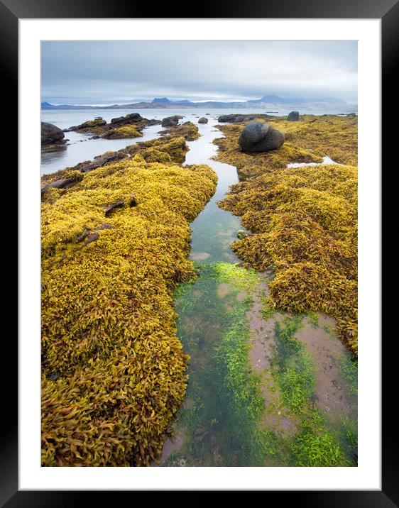 Udrigle Autumn Framed Mounted Print by Chris Rafferty