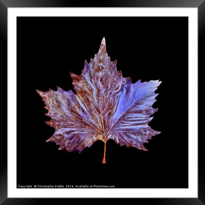Mother Nature Framed Mounted Print by Christopher Kiddle