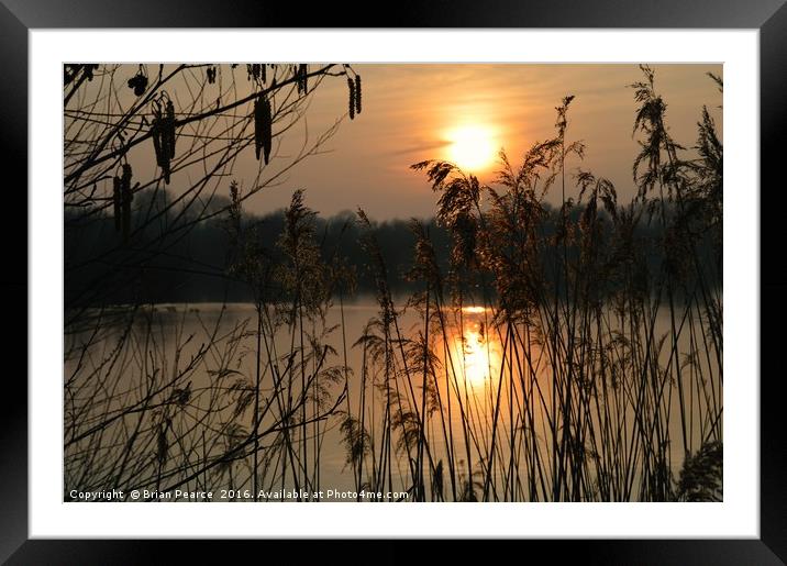 Sunset at Brimpton Lakes Berkshire Framed Mounted Print by Brian Pearce