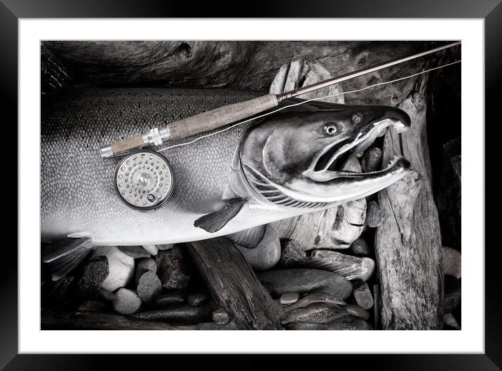 Vintage fly fishing equipment on large salmon in riverbed settin Framed Mounted Print by Thomas Baker