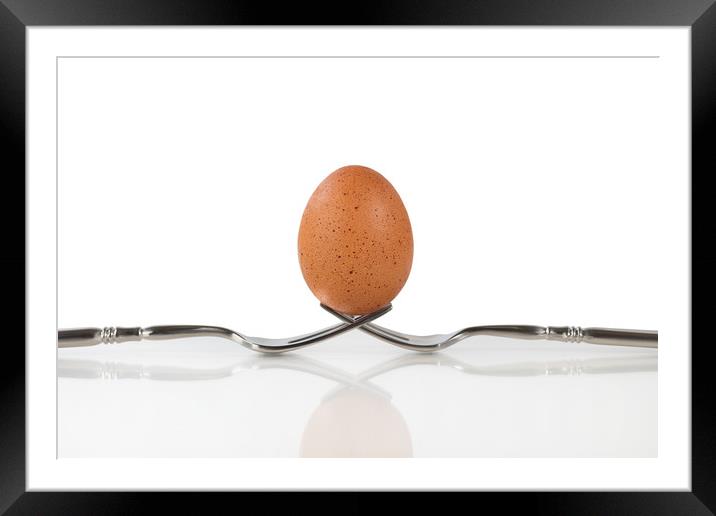 Isolated whole brown egg balanced on two forks Framed Mounted Print by Thomas Baker