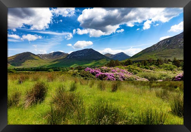 Ireland countryside with green grass and hills  Framed Print by Thomas Baker