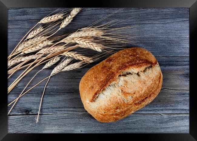 Close up view of homemade sourdough bread with dried wheat stalk Framed Print by Thomas Baker