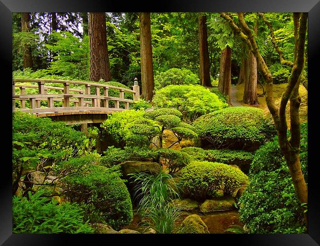 Wooden Foot Bridge at Japanese Garden Framed Print by sharon hitman