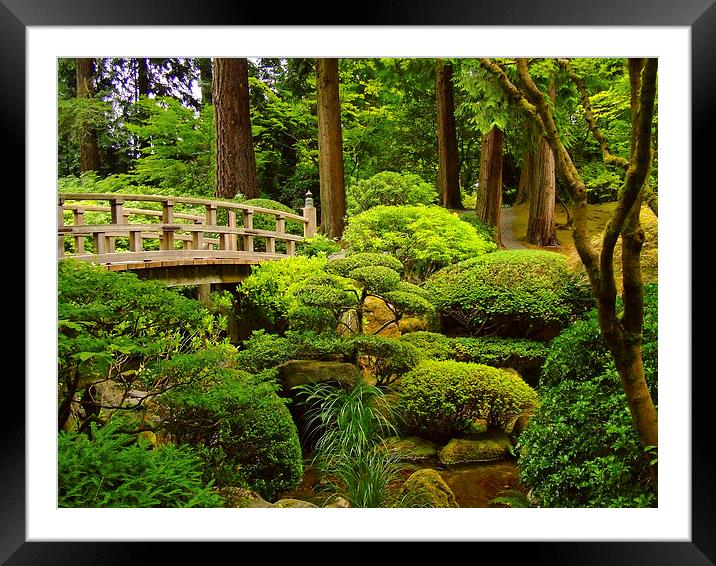 Wooden Foot Bridge at Japanese Garden Framed Mounted Print by sharon hitman