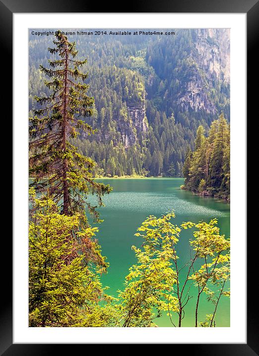  lake tovel in the dolomites, italy  Framed Mounted Print by sharon hitman