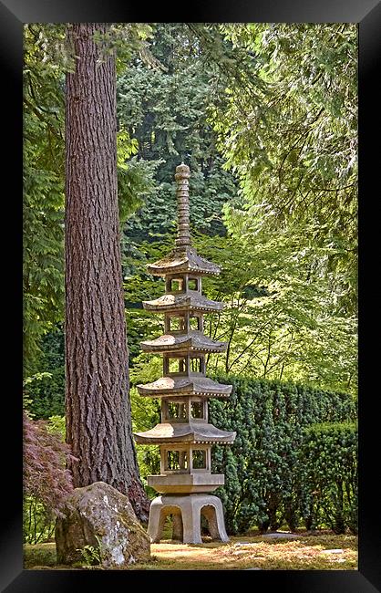 japanese zen garden Framed Print by sharon hitman
