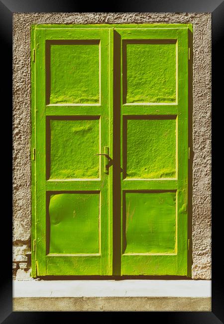 Green Door On Concrete Wall Framed Print by Radu Bercan