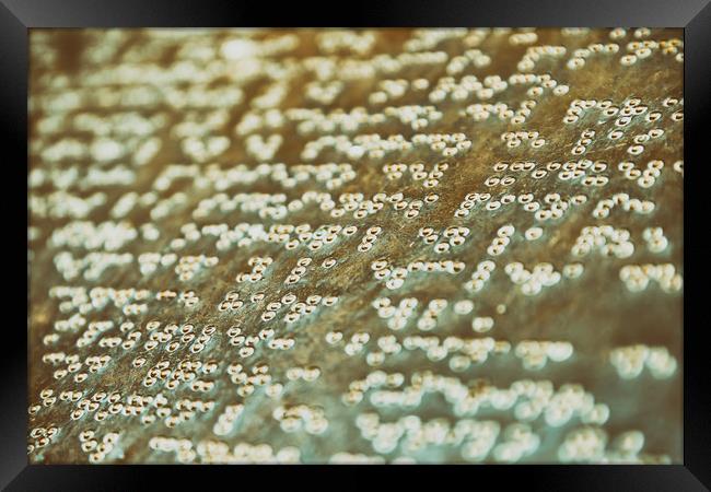 Braille Text Writing On Stone Framed Print by Radu Bercan