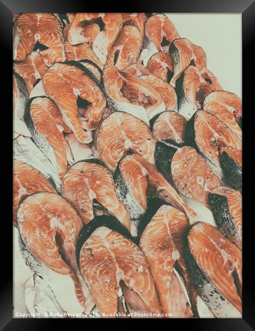 Salmon For Sale In Fish Market Framed Print by Radu Bercan